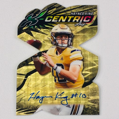 2024 leaf centric haynes - leaf, x-centric